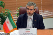 سخنگوی دولت: «علی باقری» مسئول کمیته بین الملل و سرپرست وزارت خارجه شد