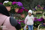 بیش از ۲میلیون و ۲۸۸هزار بازدید نوروزی از جاذبه‌های گلستان