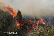 احتمال بروز آتش سوزی‌های بیشتر در مراتع و جنگل‌های خراسان شمالی نسبت به پارسال