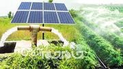 جزئیات معافیت کشاورزان گلستانی از قطعی برق با نصب پنل خورشیدی