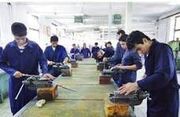 آموزش سالانه ۲۵هزار نفر در فنی و حرفه‌ای استان ایلام
