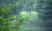 وزش باد و رگبار باران در برخی استان‌ها