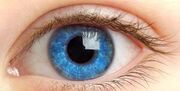 لنزی که درمان زخم چشم را تسریع می‌کند