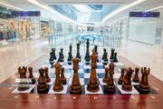نماینده اصفهان قهرمان شطرنج بانوان کشور شد