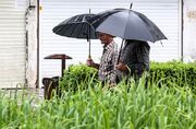 هواشناسی برای این ۸ استان هشدار بارش‌های سیل‌‌آسا صادر کرد