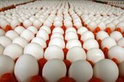 قیمت مصوب تخم‌مرغ چقدر شد؟