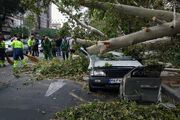 هشدار جدی سازمان هواشناسی؛ تندبادهای شدید در راه تهران