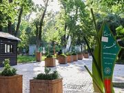 سخنگوی شهرداری تهران: مسجد پارک قیطریه، اولین و آخرین مسجد در پارک‌های تهران نیست