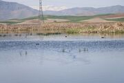 روزهای خوش تالاب‌های پارک ملی دریاچه ارومیه + تصاویر
