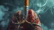 سیگار هم برای شما ضرر دارد و هم محیط‌زیست؛ مرگ ۸ میلیون نفر در سال/ قطع سالانه ۶۰۰ میلیون اصله درخت برای تولید ۶ هزار میلیارد نخ سیگار
