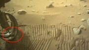مریخ‌نورد ناسا در خاک مریخ حیوان خانگی پیدا کرد!/ عکس