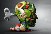 معرفی ۵ ماده غذایی برای بهبود عملکرد مغز