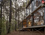 تصاویر | خانه مدرن و استثنایی یک زوج جوان در قلب جنگل