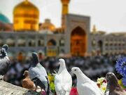 سفر به مشهد در ماه رمضان