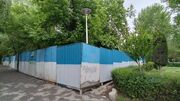 حرکت تانک‌وار شهرداری زاکانی علیه پارک‌های قدیمی تهران؛ باز کردن باب «درخت‌کشی» به چه قیمتی؟