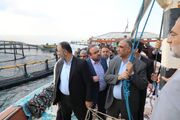 توسعه ظرفیت شیلاتی قشم/ وزیر جهادکشاورزی از مراکز پرورش ماهی بازدید کرد