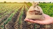 پرداخت 93 میلیارد تومان غرامت به کشاورزان استان همدان