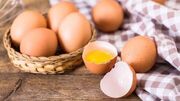 آیا تخم‌مرغ برای حافظه مفید است؟ - مردم سالاری آنلاين
