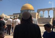 فیلم/ حضور یهودیان در مسجدالاقصی در اولین روز عید پسح