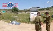فیلم/ تیراندازی نظامیان اشغالگر به دختر فلسطینی