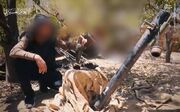 فیلم/ انهدام ادوات زرهی دشمن توسط حماس در شهر "جبلیه"