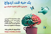 برندگان قرار پانزدهم رویداد ذهن زیبا اعلام شد/ متین رحمانی از ایرانشهر