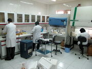 دانشجویان علوم تغذیه و بهداشت محیطِ دانشکده بهداشت، دوره کارآموزی خود را در آزمایشگاه کنترل مواد غذایی مجموعه می گذرانند