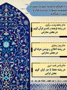 راه یافتگان به مرحله کشوری بیست و هشتمین جشنواره قرآن و عترت دانشگاه علوم پزشکی زابل