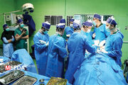 سرفصل "جراحی‏‌های زیبایی" در برنامه‌های آموزشی پزشکی وجود ندارد
