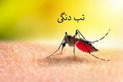 "کنفرانس یک روزه تب دنگی" برگزار می شود