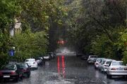 گلستان، مازندران و یزد پر بارش ترین استان ها در هفته جاری