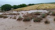 افزایش ۲۶ درصدی بارش در اردستان نسبت به سال آبی جاری
