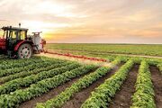 صادرات ۶.۲ میلیارد دلاری کشاورزی در ۱۴۰۲/ واردات گندم نصف شد