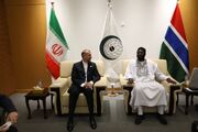 امیرعبداللهیان با وزیر خارجه گامبیا دیدار کرد
