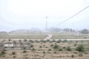 هوای ۷ شهر خوزستان «ناسالم» اعلام شد