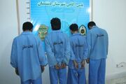 مخلان نظم و امنیت در دشتستان دستگیر شدند