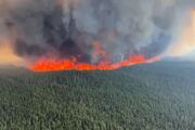 کاهش ۵۰ درصدی آتش‌سوزی در جنگل‌های آذربایجان‌شرقی