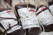 بانوان بوشهری مشارکت بیشتری در اهدای خون داشته باشند