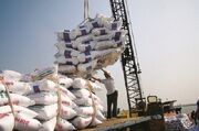 واردات برنج کمر اقتصاد مازندران را شکست/ لزوم ساماندهی ساحل