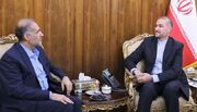 وزارت امور خارجه جمهوری اسلامی ایران- دیدار سفیر جمهوری اسلامی ایران در روسیه با امیرعبداللهیان