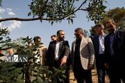 تقدیر اعضای شورای اسلامی شهر تهران از ورود دستگاه قضا به مسئله خشک شدن درختان بوستان چیتگر