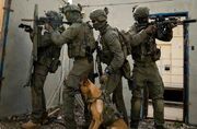 اعتراف روزنامه اسرائیلی: ترور هنیه، حماس را متزلزل نمی‌کند
