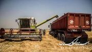 13 هزار کامیون بومی، محصولات کشاورزی بهاره گلستان را جابه‌جا می‌کند