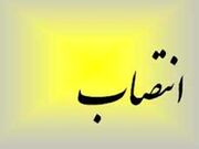 انتصاب رئیس کمیته پشتیبانی ستاد انتخابات استان