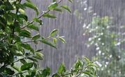 هشدار هواشناسی درخصوص رگبار شدید باران در ۱۸ استان