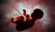 جلوگیری از ۴۷۶ سقط جنین سالم در خراسان رضوی