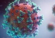 شایع‌ترین گونه ویروس کووید در جهان