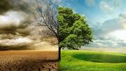 نقش تغییر اقلیم در هجوم آفات به درختان