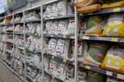 کاهش ۸۳۰ میلیون دلاری ارزبری برنج طی یکسال گذشته/ برنج ایرانی ۹ درصد ارزان شد