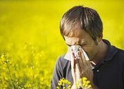 همه آنچه باید درباره حساسیت فصلی بدانید/ تفاوت سرماخوردگی با آلرژی